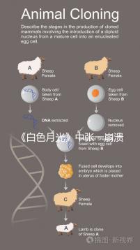 《白色月光》中張一崩潰在孩子面前哭,你認(rèn)為該不該?
