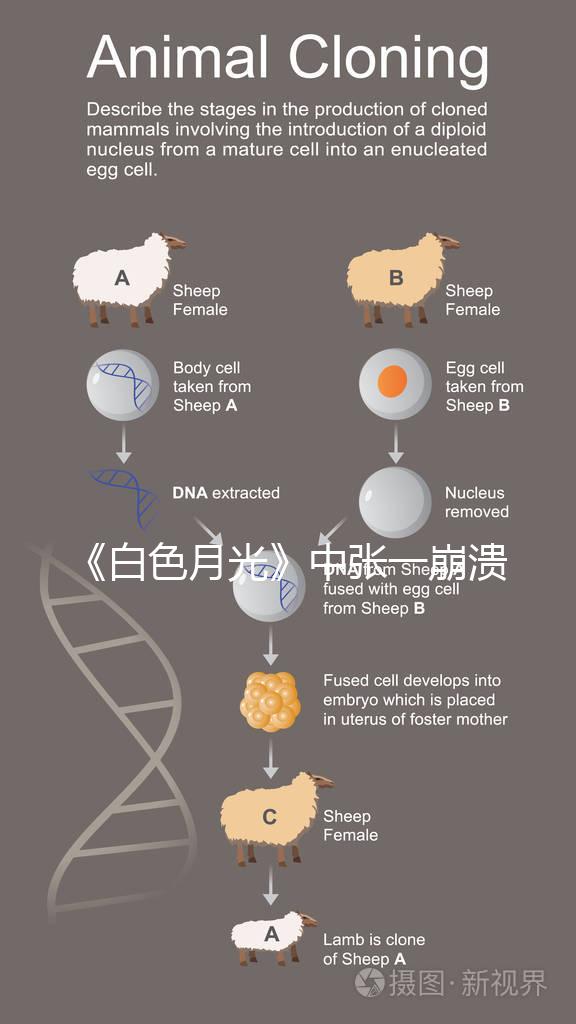 《白色月光》中張一崩潰在孩子面前哭，你認為該不該？