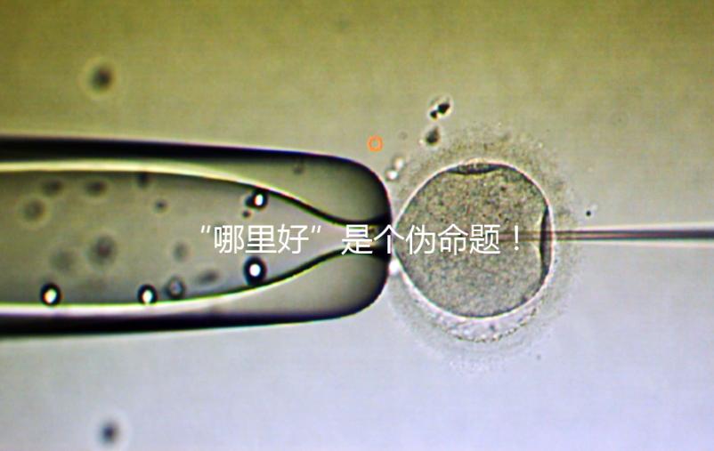 “哪里好”是個偽命題!上海市第十人民醫(yī)院做試管經(jīng)驗(yàn)分享