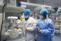 玉女掌門人楊采妮誕下雙胞胎,公布懷孕5月照絕絕子