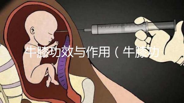 牛膝功效與作用(牛膝功效與作用與主治)