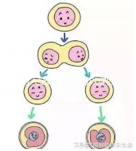 男人結婚時是否可以穿白色鞋子和白色西裝進行分析,看看對誰不利