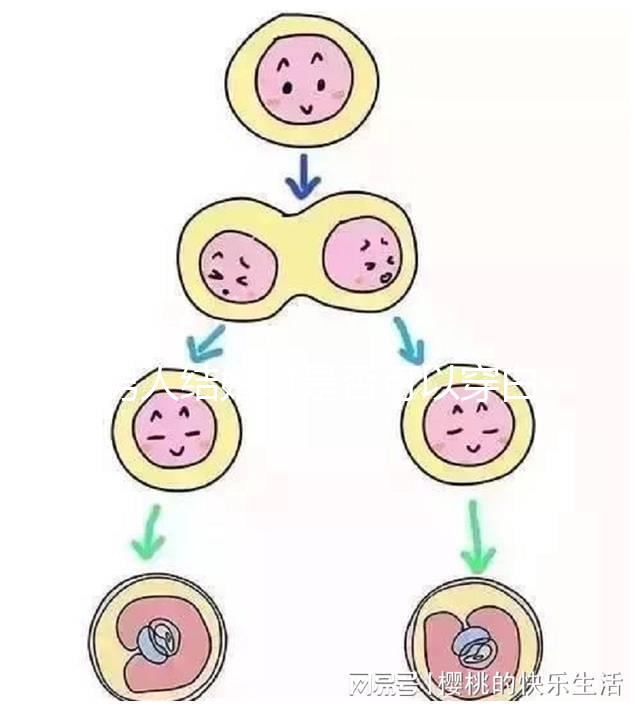 男人結(jié)婚時(shí)是否可以穿白色鞋子和白色西裝進(jìn)行分析，看看對(duì)誰(shuí)不利