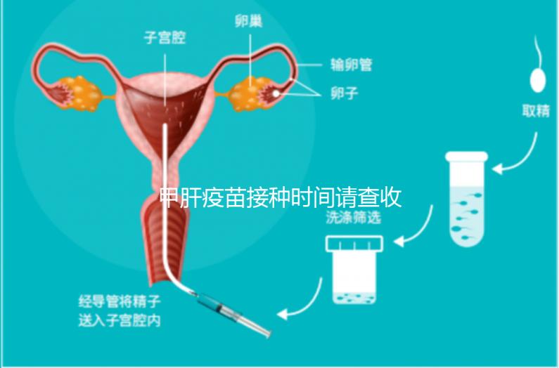 甲肝疫苗接種時間請查收,第二針推遲注射切勿間隔太長
