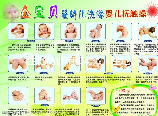 生地的作用和功效(生地的作用和功效與主治)