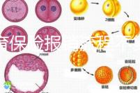 生育保險報銷流程不復(fù)雜,辦理地點不分地域異地可報銷