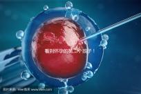 看到懷孕的第二個孩子！2024年廣州試管嬰兒費用清單