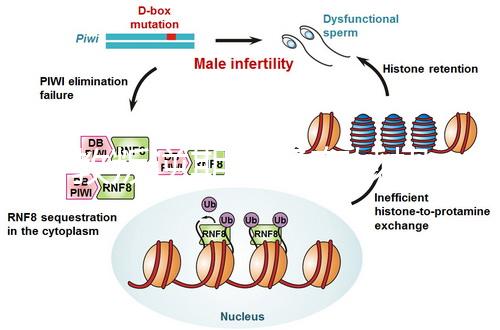 管教叛逆期孩子有妙招,這四個方法遠勝封閉式管理