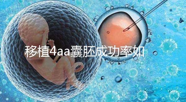 移植4aa囊胚成功率如何?細說質量等級讓你助孕更安心