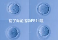 精子向前運動PR14是否正常聽專家怎么說，當心弱精找上門