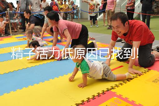 精子活力低原因已找到!跟你經常做的這5件事有關