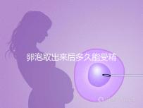 卵泡取出來后多久能受精做試管來瞧，想移植請算好時間