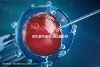 卵泡囊腫破裂出血痛不痛?經(jīng)歷過的姐妹們給出回應(yīng)