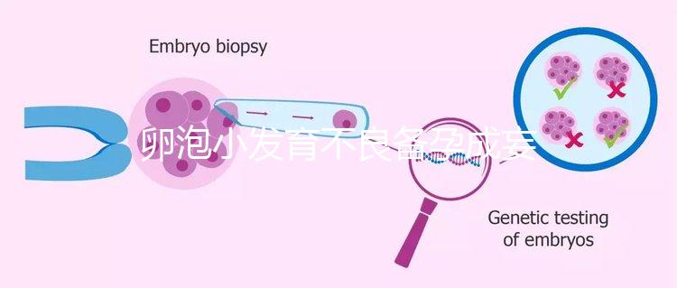 卵泡小發(fā)育不良備孕成妄想,閉鎖卵泡早檢查早治療