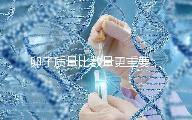 卵子質量比數量更重要，9個卵泡生男孩也很難