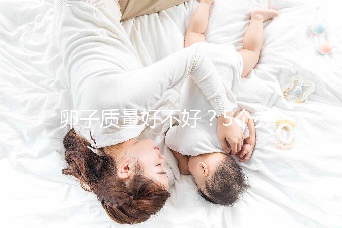 卵子質量好不好？5個辦法就能知道