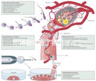 即將做試管了害怕感冒生病，這5招教你提高免疫力