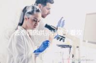 去泰國做供卵試管？看攻略提前了解具體流程和費用