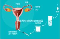 克魯宗會(huì)遺傳給后代解答嗎？他生來(lái)就有一篇清晰的文章嗎？