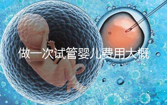 做一次試管嬰兒費用大概多少