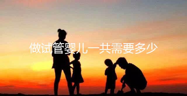 做試管嬰兒一共需要多少錢?