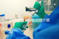 取卵移植！探秘歐路爾第三代試管嬰兒的流程