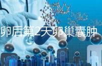 取卵后第2天卵巢囊腫，怎么能快速恢復？