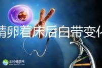 受精卵著床后白帶變化,水樣