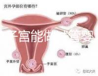 雙角子宮能做試管嬰兒嗎？可以，但這2大條件缺一不可