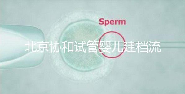 北京協和試管嬰兒建檔流程介紹，到院后掛號必不可少