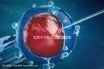 北京十大私立試管醫院排名2025年版本介紹