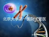 北京大學第一醫院試管醫生排名?附簡介和擅長醫療方向