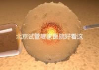 北京試管哪家醫院好看這,303醫院、北醫三院值得推薦