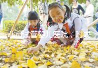 北京試管嬰兒醫院，附成功率、費用