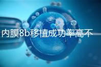 內(nèi)膜8b移植成功率高不高分析，掌握好時(shí)間放凍胚也能著床