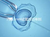 內膜3mm試管成功率別沒數，多久移植、出血與否是關鍵