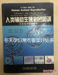 冬天孕婦常吃香菜好處多，搓成丸子味道更佳