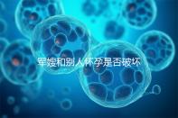 軍嫂和別人懷孕是否破壞了軍婚答案，小心被定罪