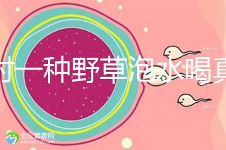 農村一種野草泡水喝真能治便秘！配合這九種中草藥效果更好