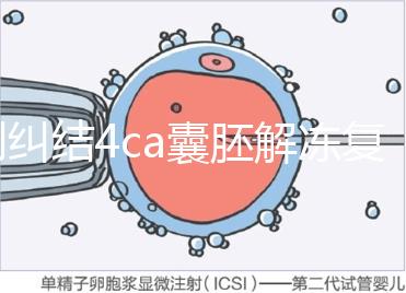 別糾結(jié)4ca囊胚解凍復(fù)蘇最早幾天能測出了,著床率先了解下