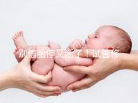 別信胎停又活了！試管移植43天需警惕有胎芽無胎心