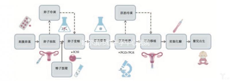 哈爾濱市紅十字中心醫(yī)院試管怎么樣？2024年助孕成功率數(shù)據(jù)共享