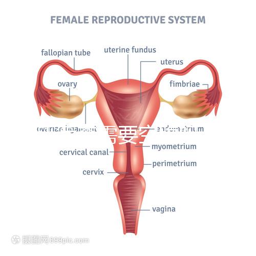 唐氏篩查需要空腹嗎，無錫醫(yī)院?jiǎn)雾?xiàng)費(fèi)用最低一百八十五