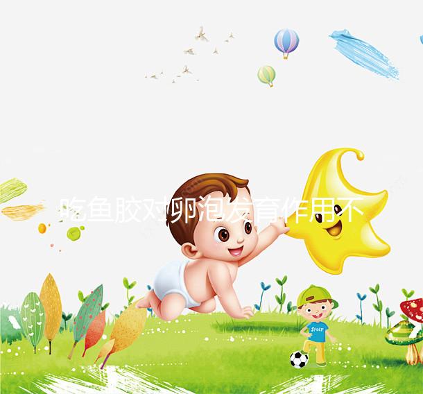 吃魚膠對(duì)卵泡發(fā)育作用不少,常食用還真能讓卵巢變好