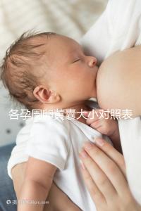 各孕周卵黃囊大小對照表，偏大、偏小都不正常