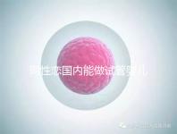 同性戀?lài)?guó)內(nèi)能做試管嬰兒?jiǎn)?大多將希望寄托于海外試管