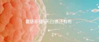 囊胚移植6天白板還有希望嗎?別沮喪該來(lái)的總是會(huì)來(lái)的
