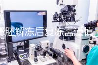 囊胚解凍后復(fù)凍需謹(jǐn)慎,這些對胚胎質(zhì)量的影響不可不知