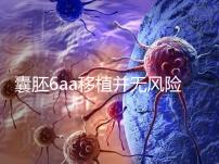 囊胚6aa移植并無風(fēng)險(xiǎn),術(shù)長僅15分鐘,別讓心情影響成功率