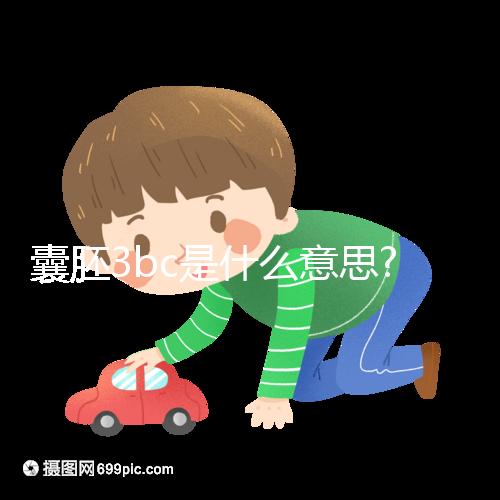 囊胚3bc是什么意思?認識移植成功率和質(zhì)量好壞看這里